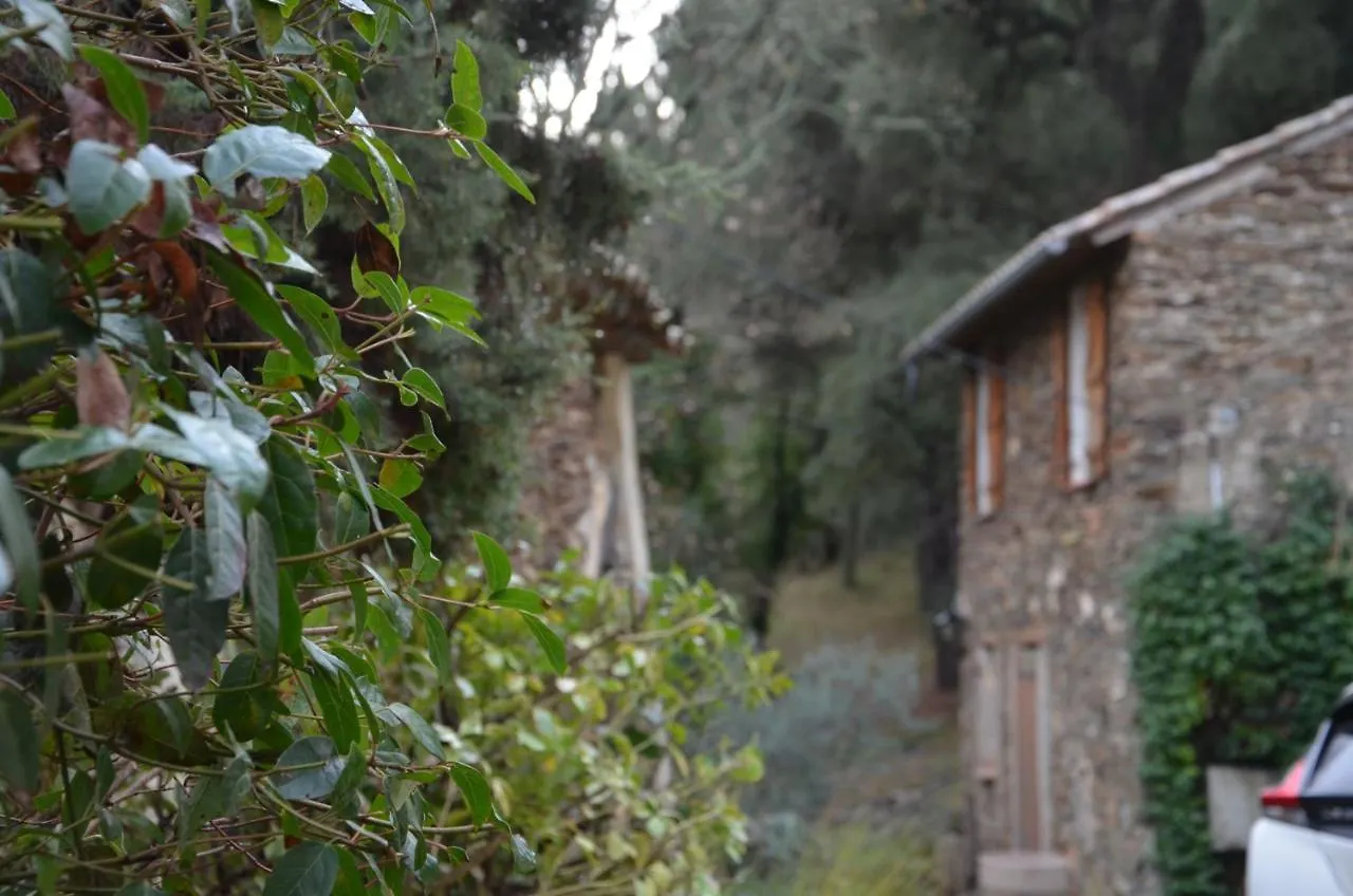 Gite Almanda - Calme & Nature - Mas Lou Castanea Collobrieres 0*,